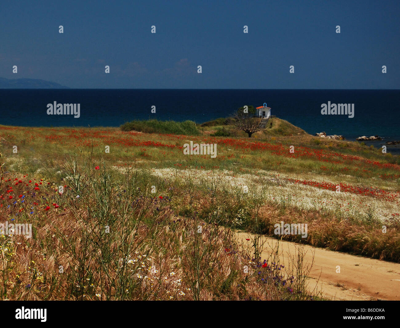 Paesaggio di una piccola chiesa greca impostato tra i coloratissimi fiori selvatici Foto Stock