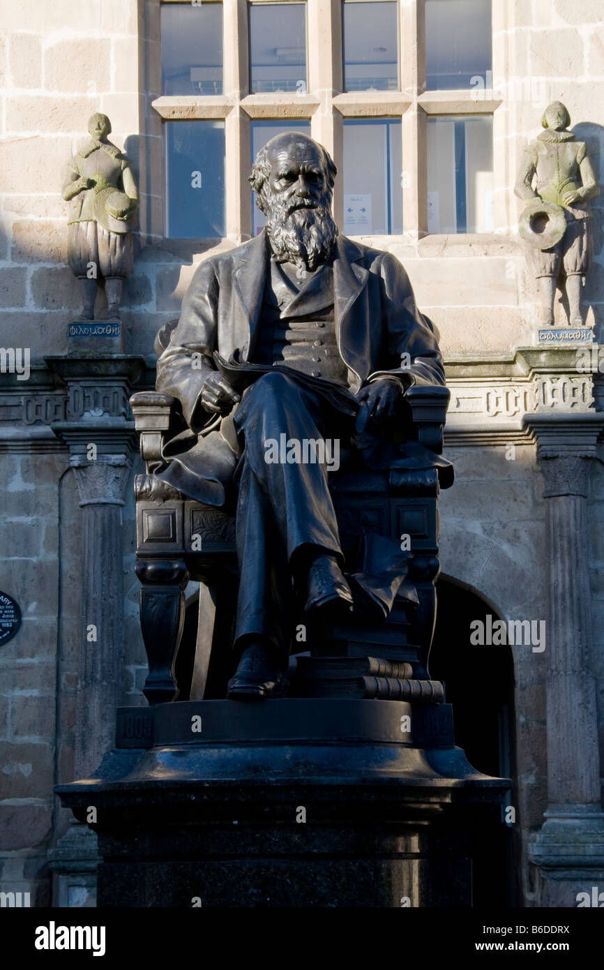Charles Darwin statua al di fuori della libreria di Shrewsbury, Shropshire, Inghilterra Foto Stock
