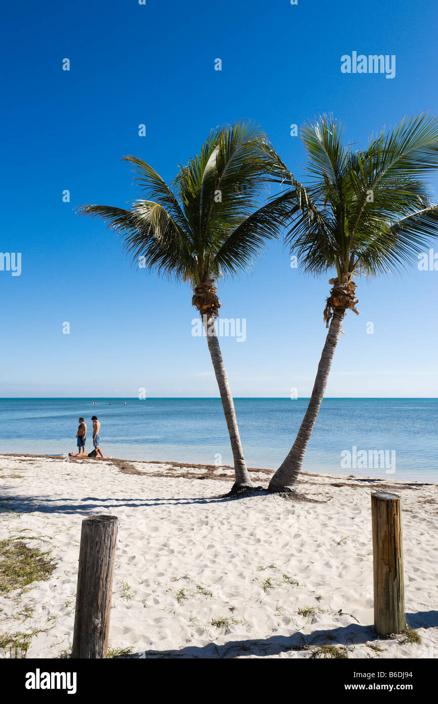 Due palme sulla spiaggia di Veterans Memorial Park, Little Duck Key, Florida Keys, STATI UNITI D'AMERICA Foto Stock