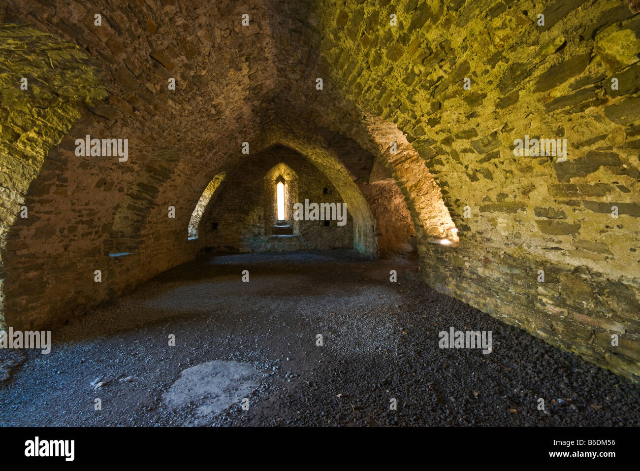 La undercroft a Manorbier Castle, Pembrokeshire Foto Stock