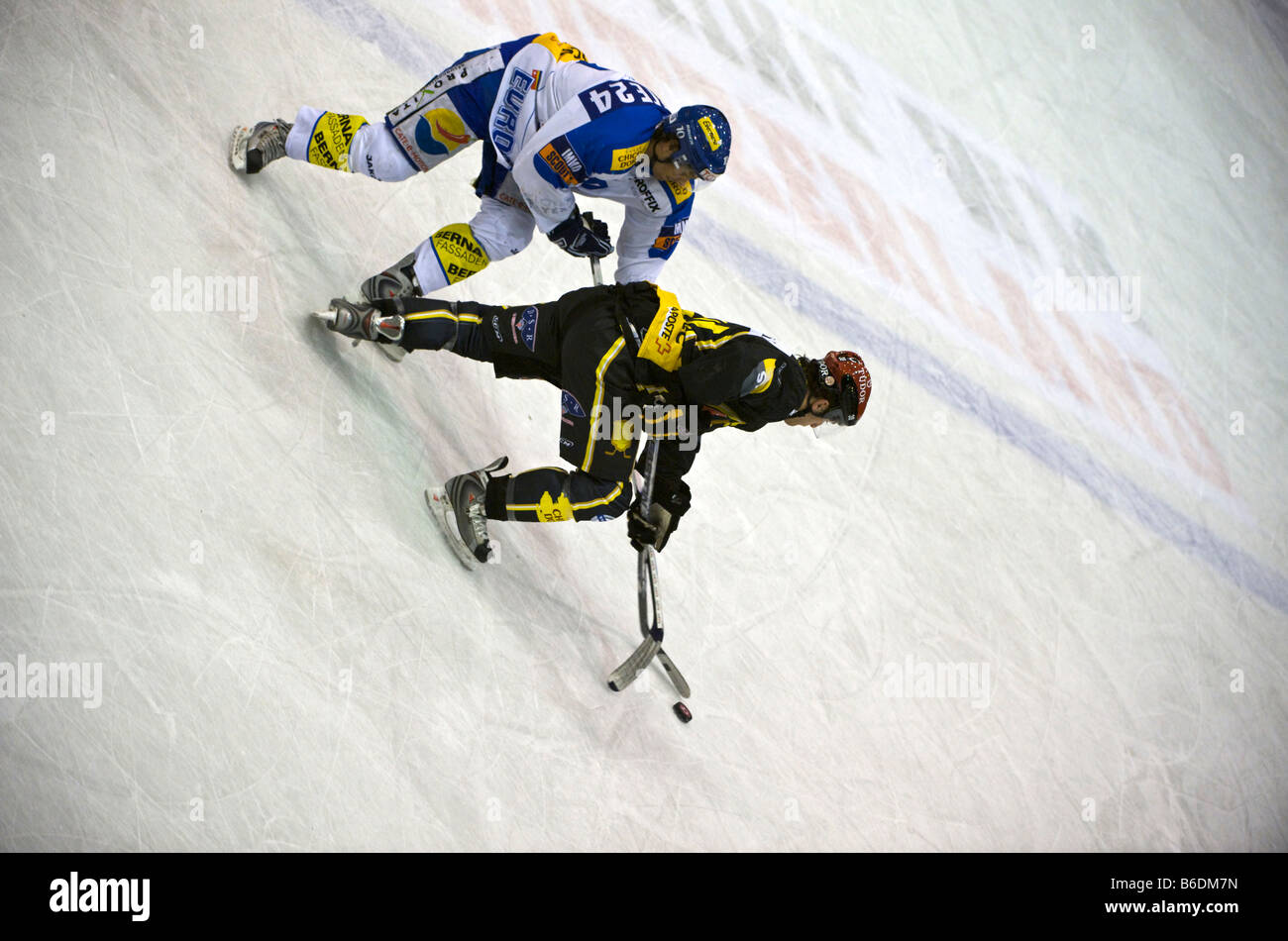 Morris Trachsler GSHC vs Zurigo Kloten a Les Vernets Stadium Ginevra il 9 dicembre 2008. Foto Stock