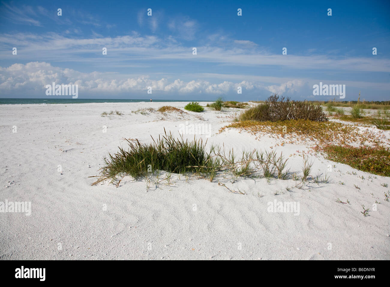 Una vasta spiaggia di sabbia si trova a evidenziare Fort Desoto Park a San Pietroburgo, in Florida. Foto Stock