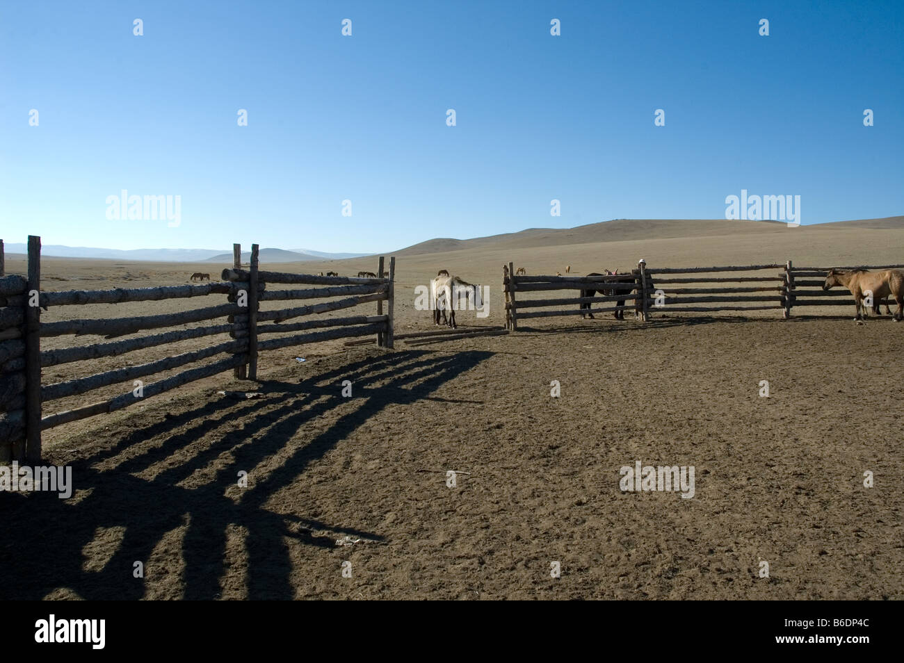 La Mongolia. La vita nelle steppe. Corral per trek cavalli. 2007 Foto Stock
