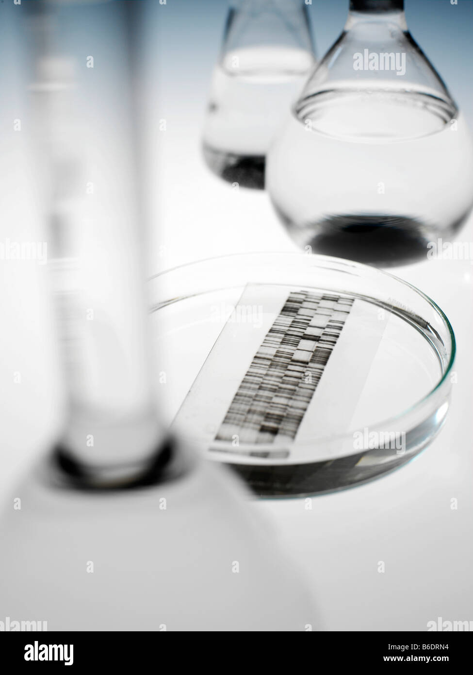 Autoradiogramma di DNA in una capsula di petri circondato da vetreria. Un autoradiogramma viene prodotta durante l'analisi del DNA. Foto Stock