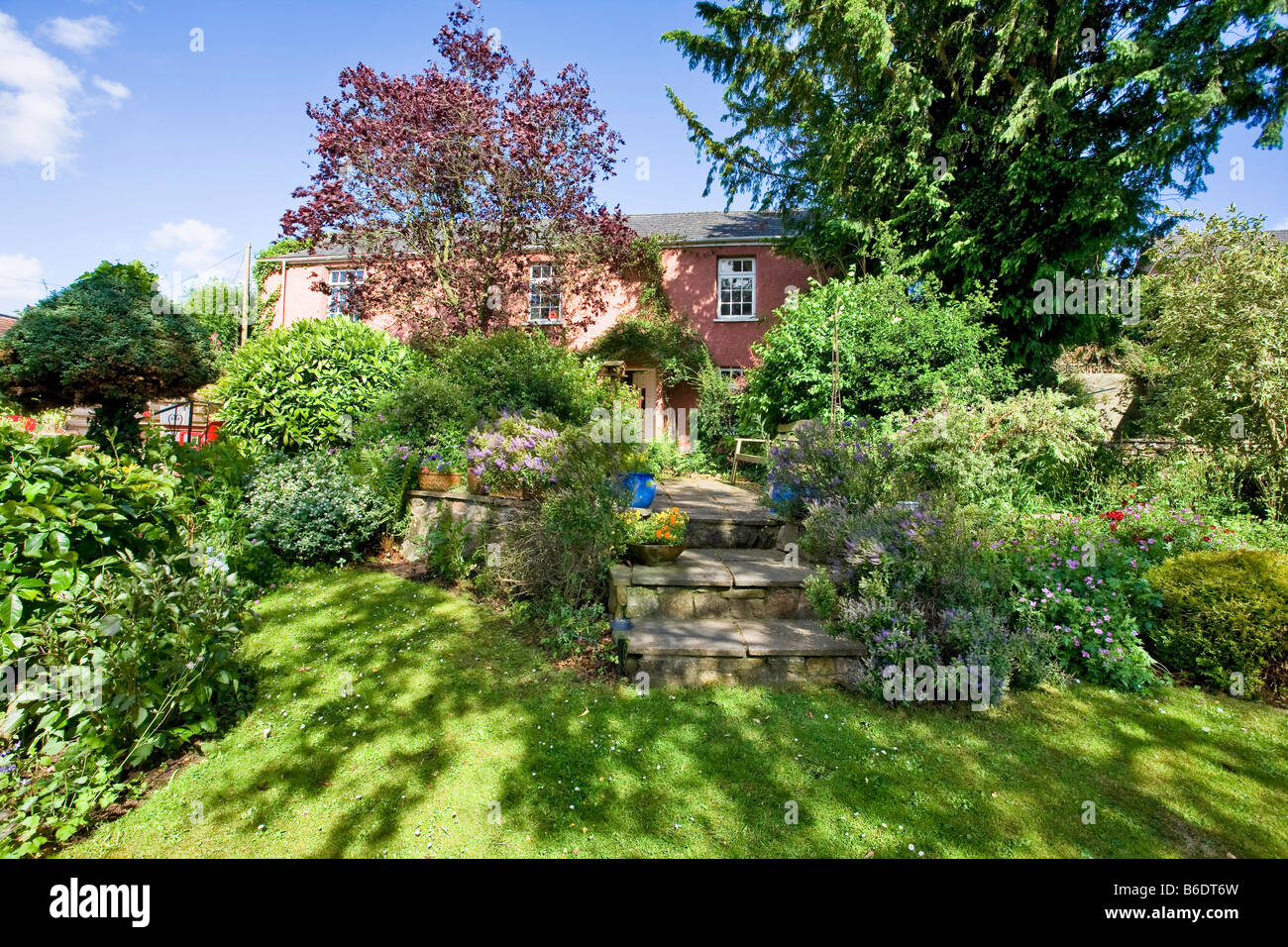 Rosa cottage di campagna muro di pietra passaggi e Cottage Garden Regno Unito Foto Stock