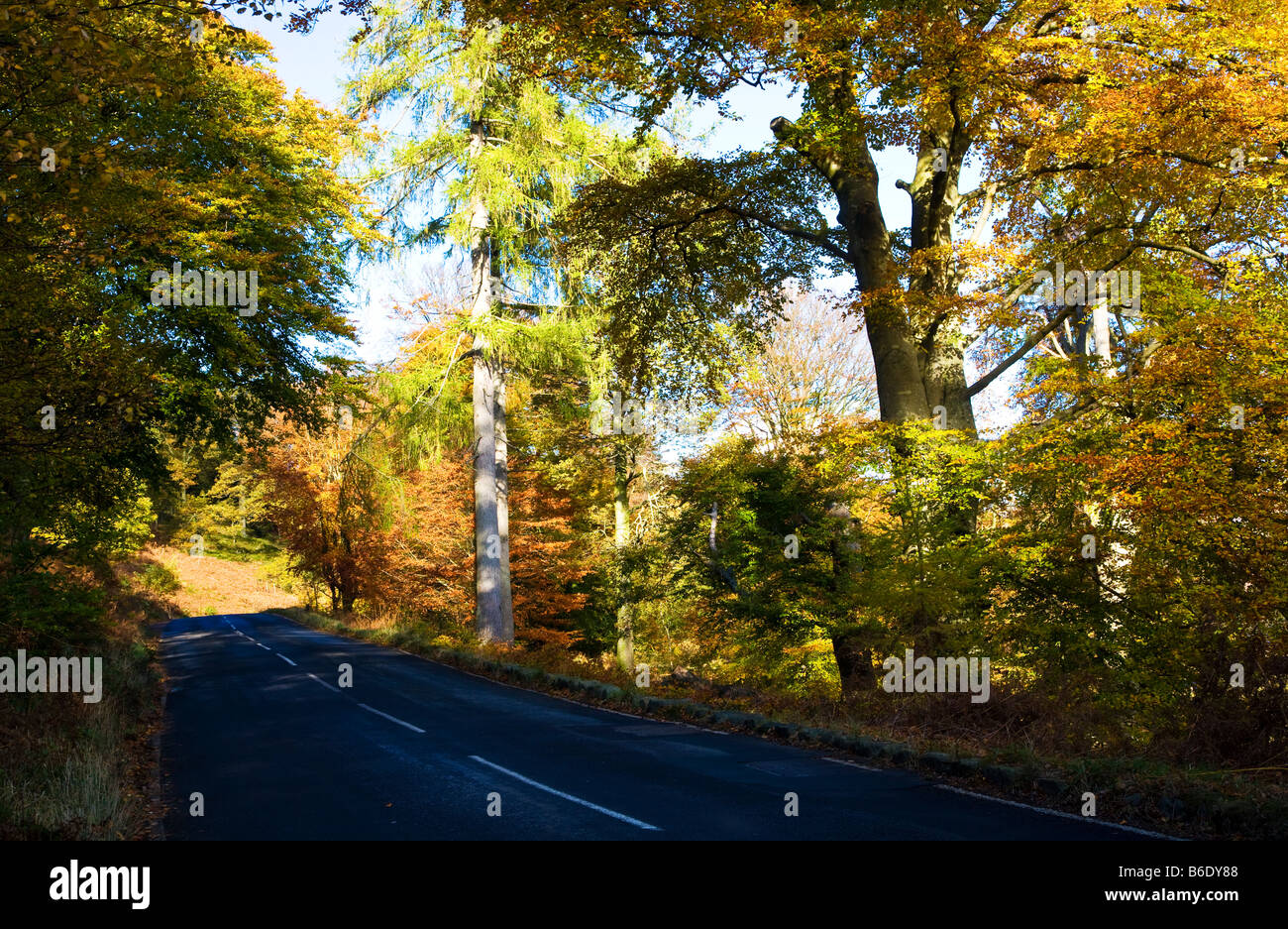 Una soleggiata giornata autunnale lungo una strada vuota la A592 nel Parco nazionale del Lake District Cumbria Inghilterra England Regno Unito Foto Stock