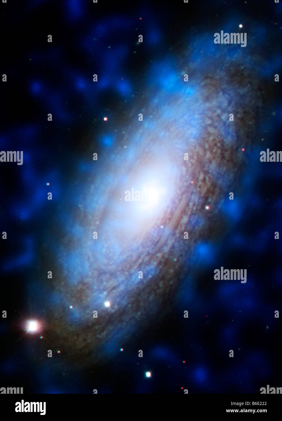 Galassia NGC 2842, Chandra immagine a raggi x. Questa attiva galassia a spirale è nella costellazione dell'Orsa Maggiore. Foto Stock