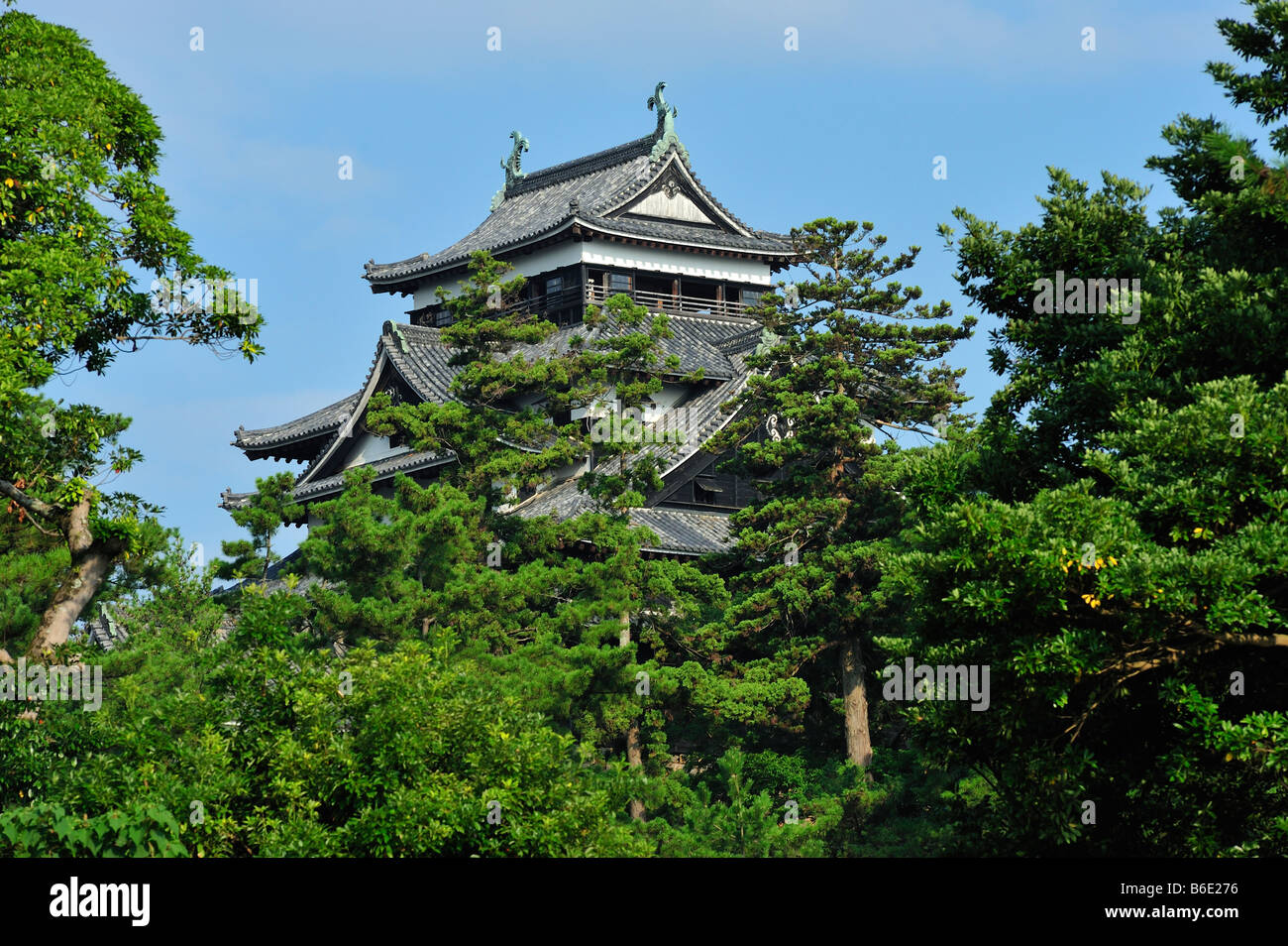 Matsue Castello, Matsue City, prefettura di Shimane, Honshu, Giappone Foto Stock