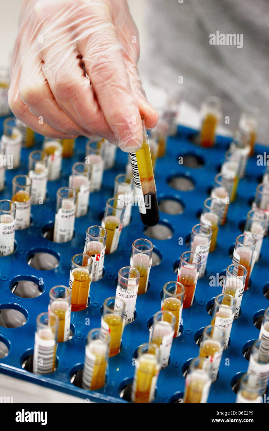 I campioni di sangue. Researcherselecting uno dei molti con codice a barre tubescontaining prova i campioni di sangue. Foto Stock