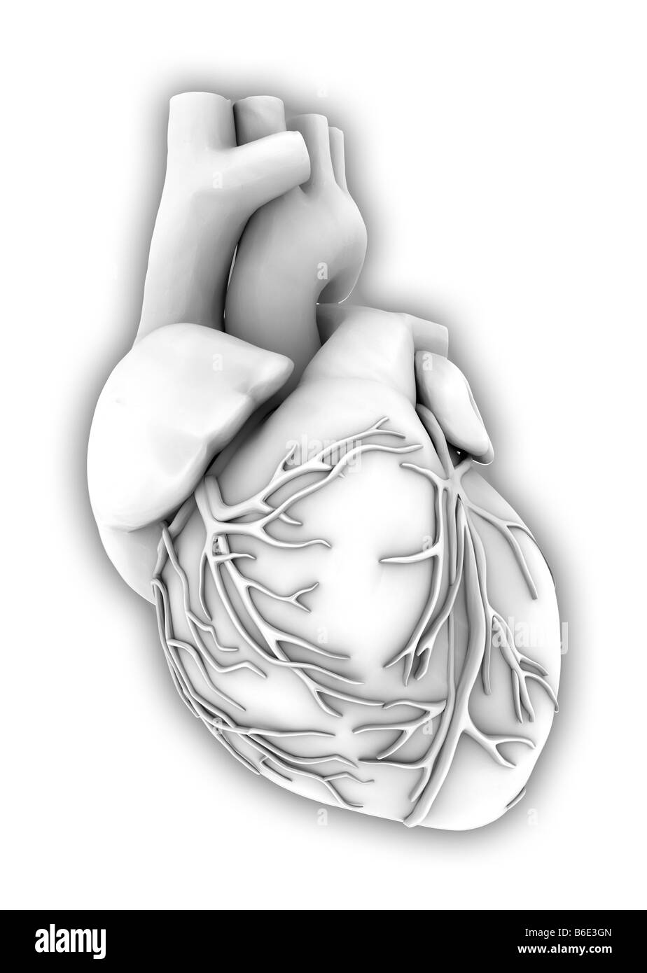 Cuore contro uno sfondo grigio Foto Stock