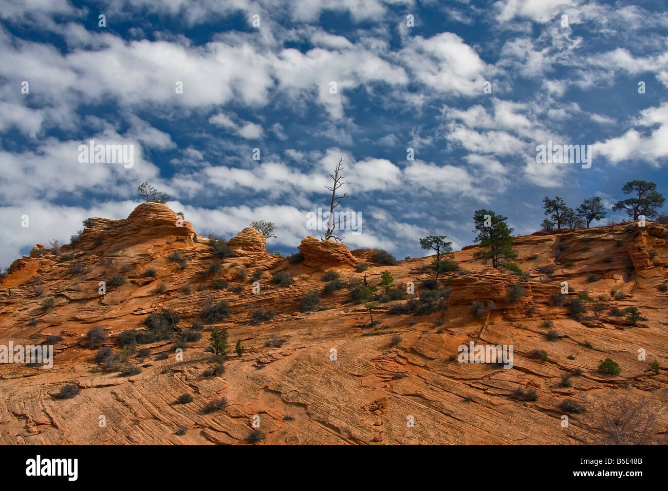 Incredibili formazioni di nubi in un profondo cielo blu con altrettanto splendida natura scolpita rocce rosse nel Parco Nazionale di Zion Foto Stock