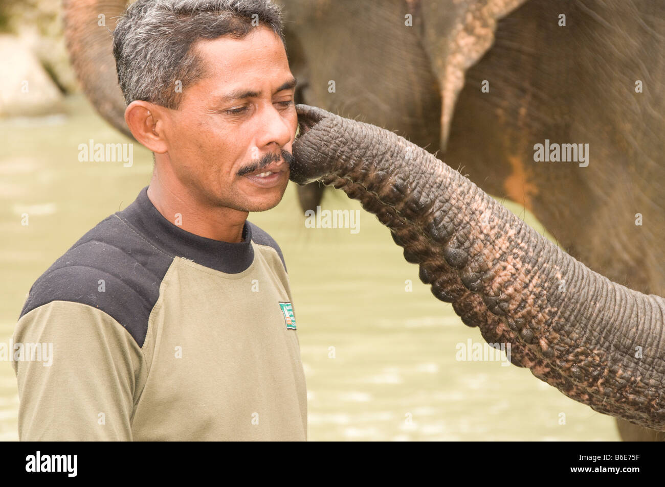 Un elefante keeper con il suo elefante Foto Stock