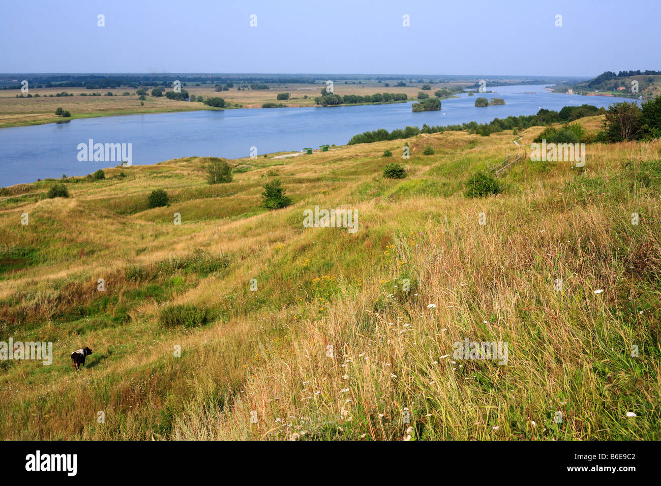 Fiume Oka, Konstantinovo, Regione di Ryazan, Russia Foto Stock