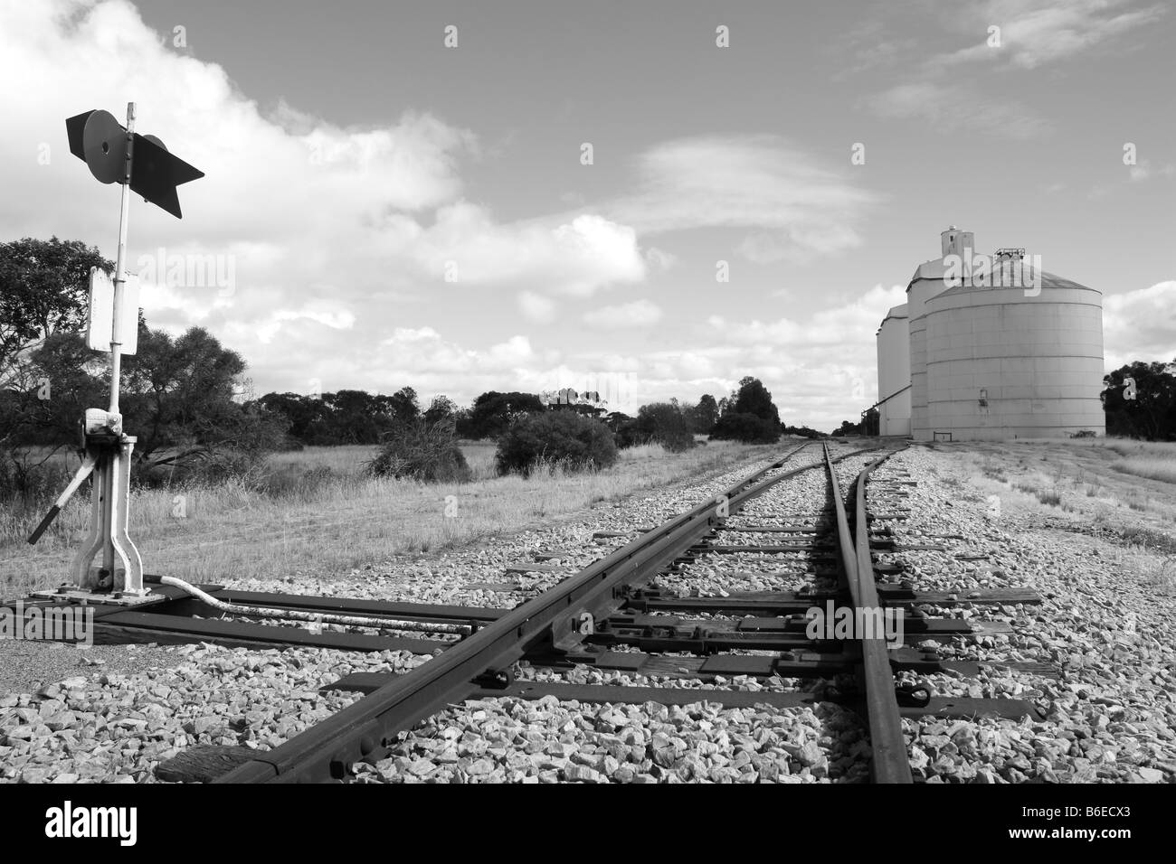 I binari ferroviari con punti sulla penisola di Eyre Foto Stock