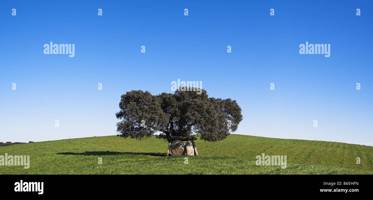 Andreiros Dolmen in Crato, Portalegre, Portogallo. situato sotto una quercia da sughero. Foto Stock