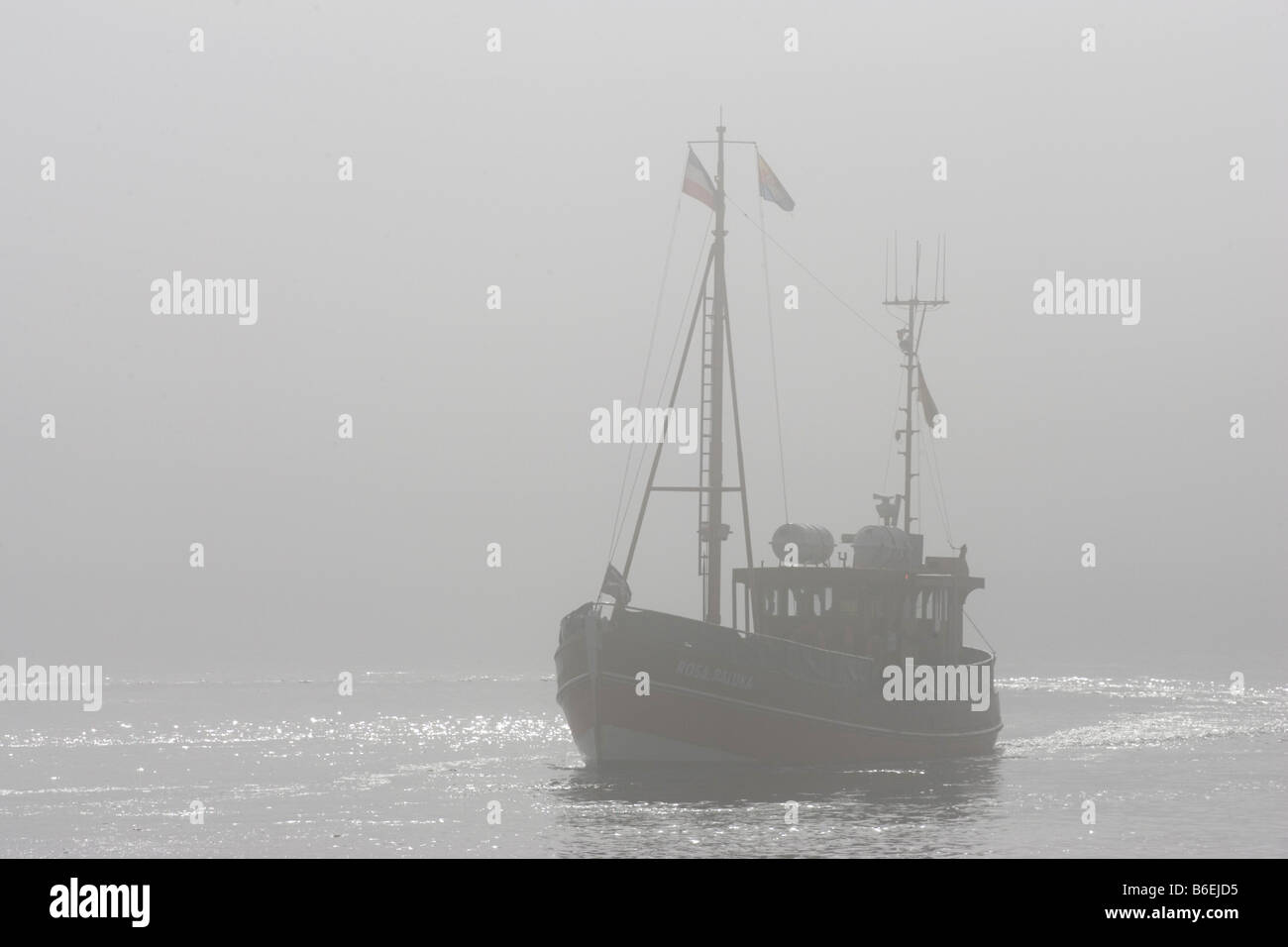 Fresa di pesca nel Mare del Nord vicino a Sylt, Schleswig-Holstein, Germania, Europa Foto Stock