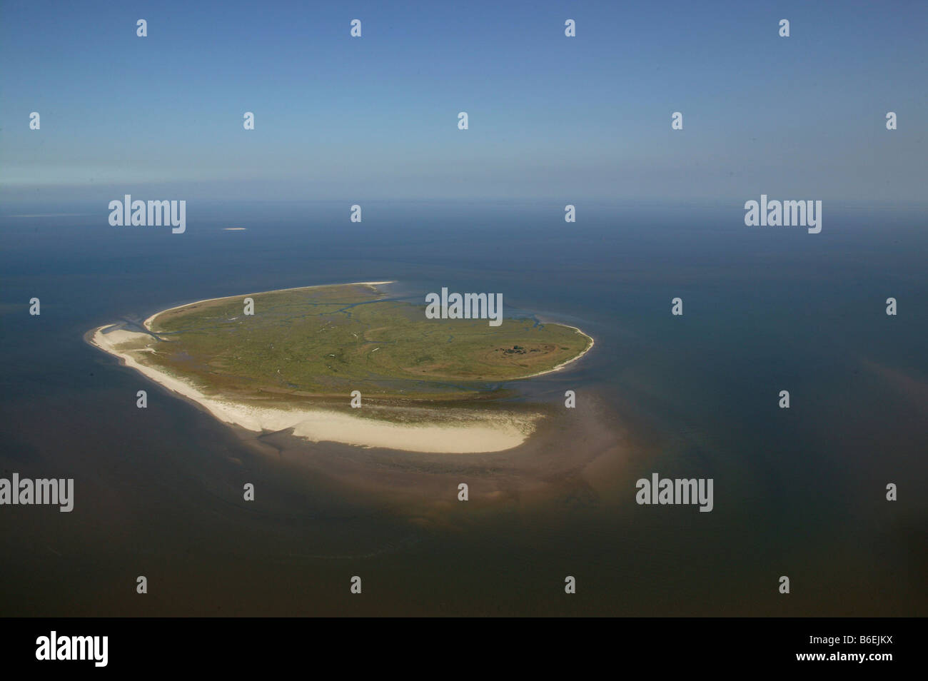 Vista areale, Mellum Isola, Est Isole Frisone, Bassa Sassonia, Germania, Europa Foto Stock