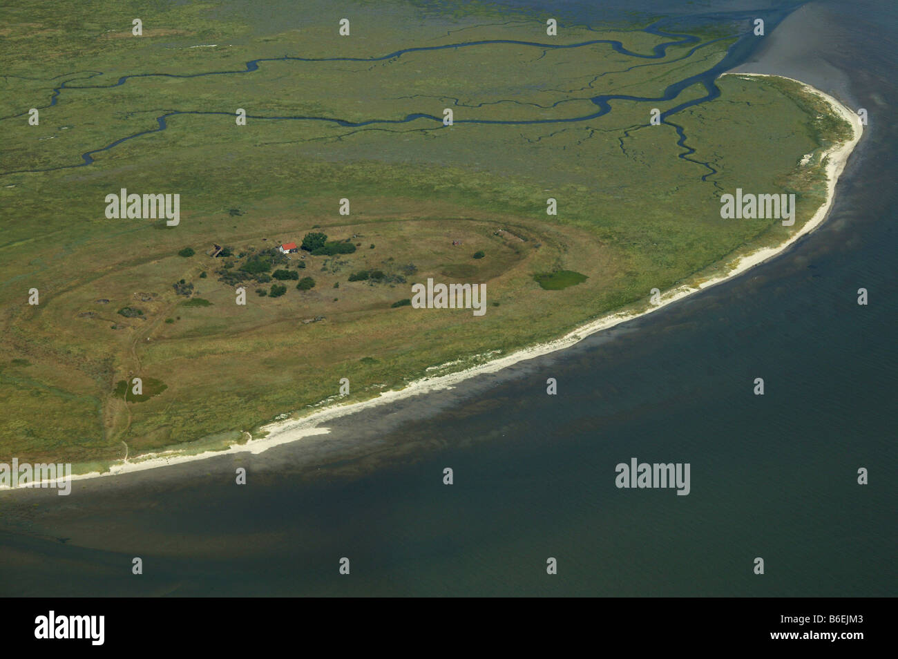 Vista areale, Mellum Isola, Est Isole Frisone, Bassa Sassonia, Germania, Europa Foto Stock