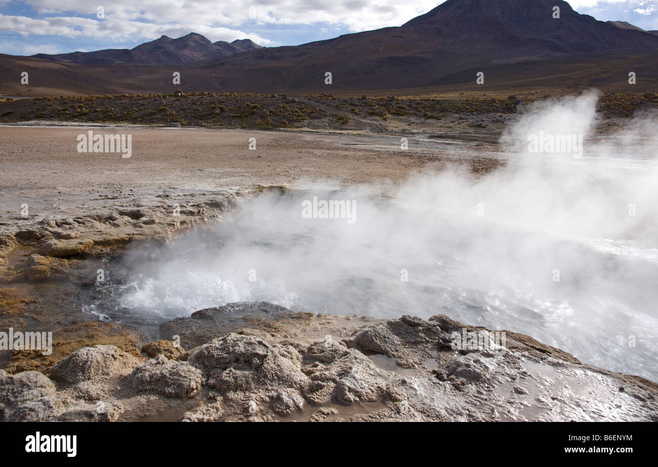 El Tatio geyser, il Deserto di Atacama, Cile Foto Stock