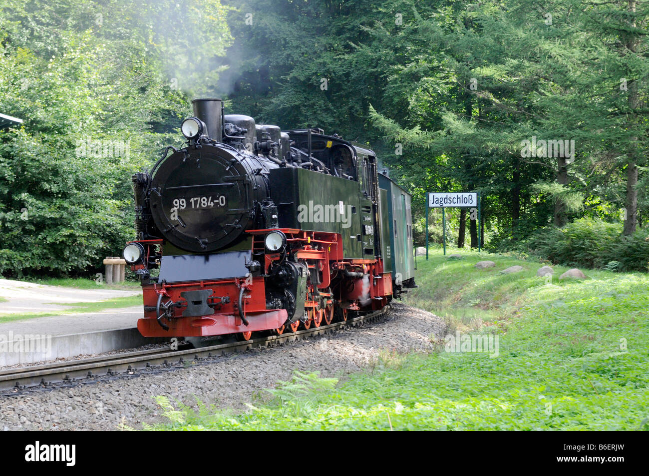 Locomotiva a vapore il motore dalla stretta-gage treno chiamato Rasenden Roland sull isola di Ruegen, Mar Baltico, Meclemburgo Foto Stock