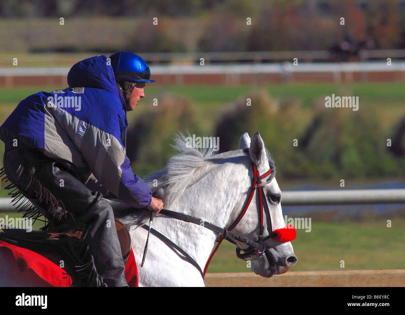 Jockey su un quarto di cavallo per un inizio di mattina allenamento Foto Stock
