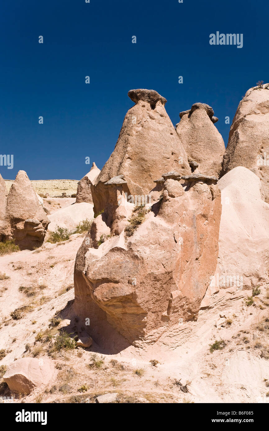 Camini di Fata, tufo paesaggio della valle di Devrent presso Zelve, Cappadocia, Anatolia centrale, Turchia, Asia Foto Stock