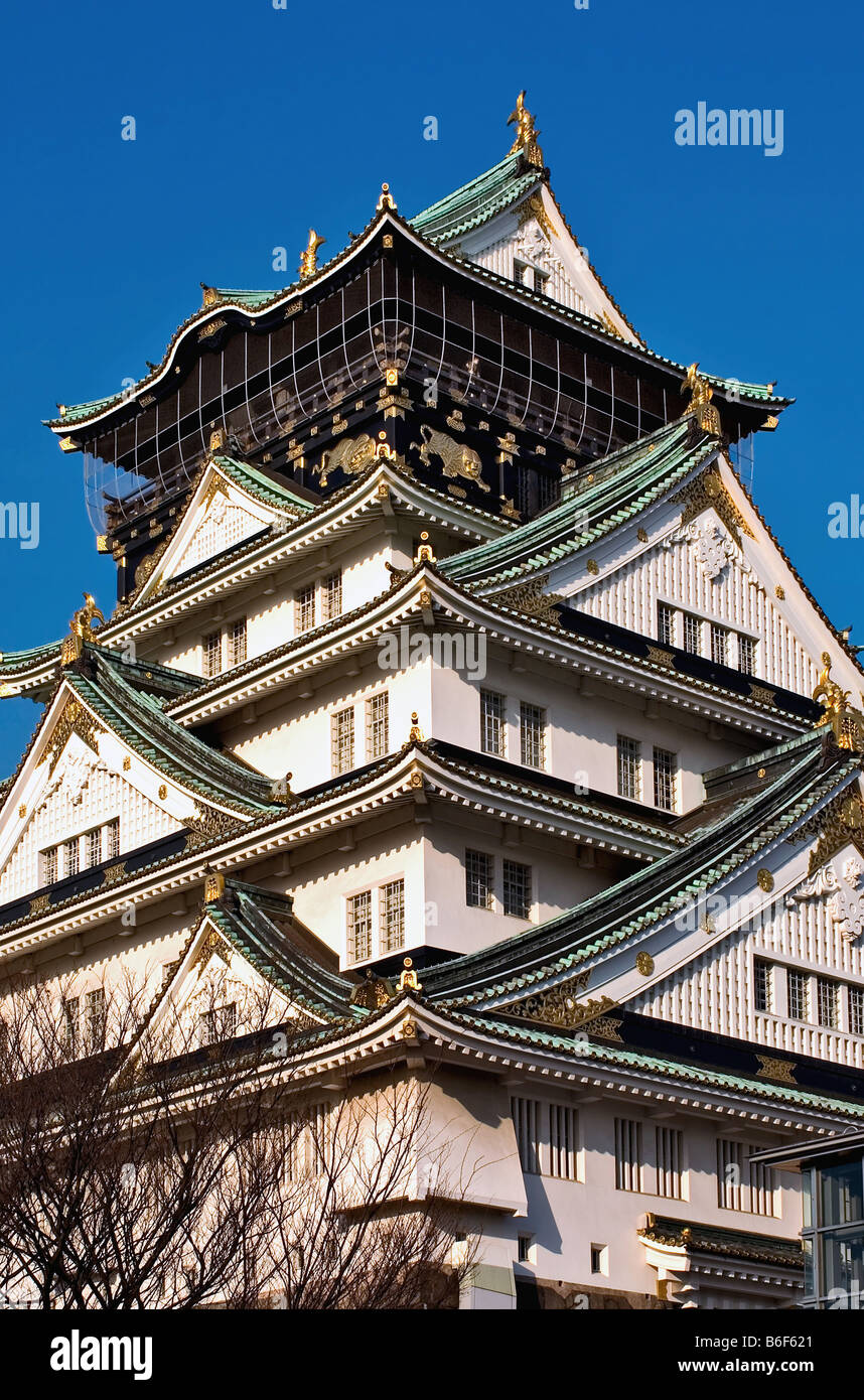 La torre principale del Castello di Osaka, originariamente chiamato Ozakajo, è uno del Giappone più famosi castelli, Giappone, Osaka Foto Stock