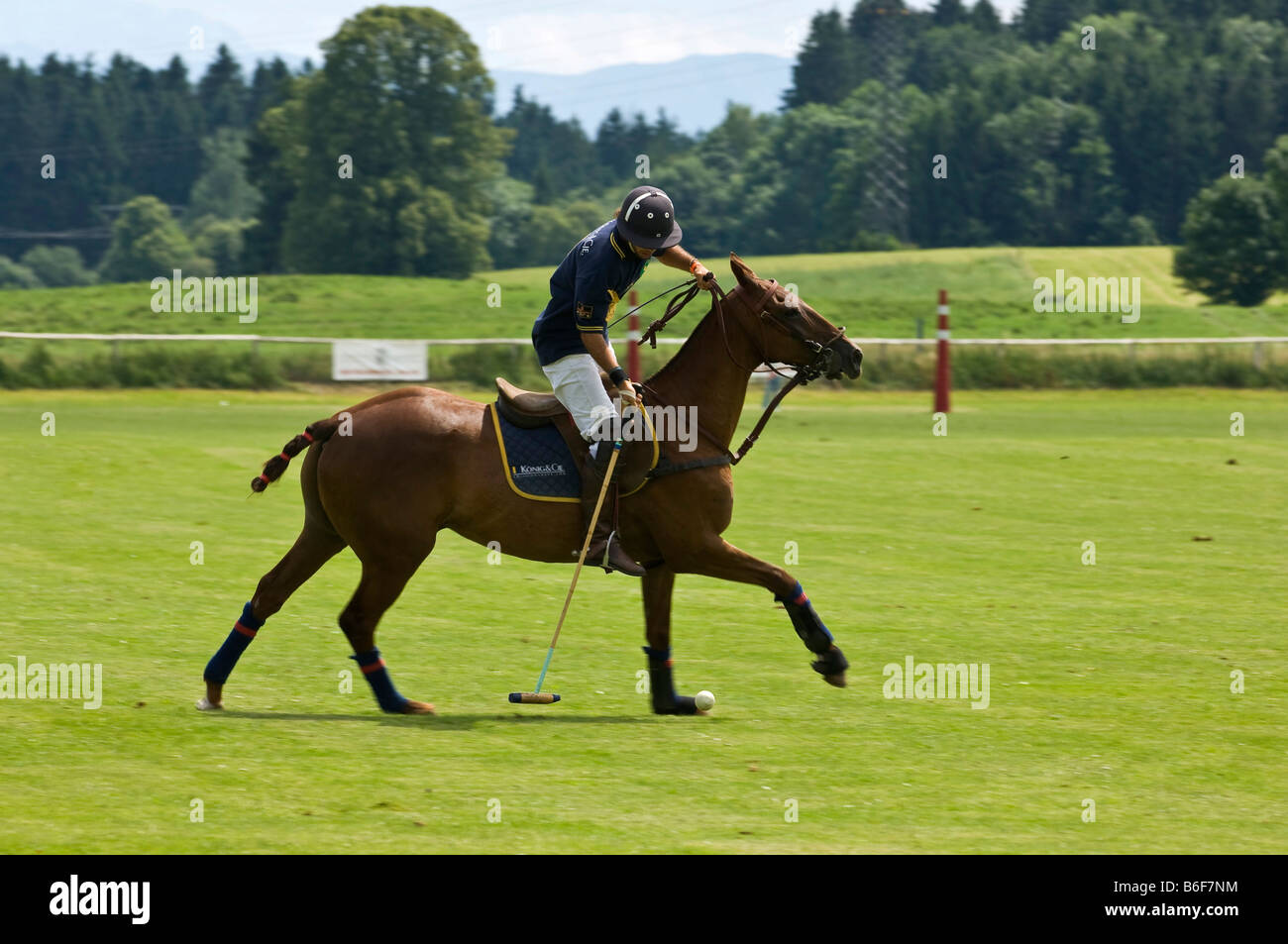 Giocatore di polo sul suo pony finalizzate per la sfera durante l'Berenberg Alta meta Trophy 2008 torneo di polo di Thann, Holzkirchen, B Foto Stock