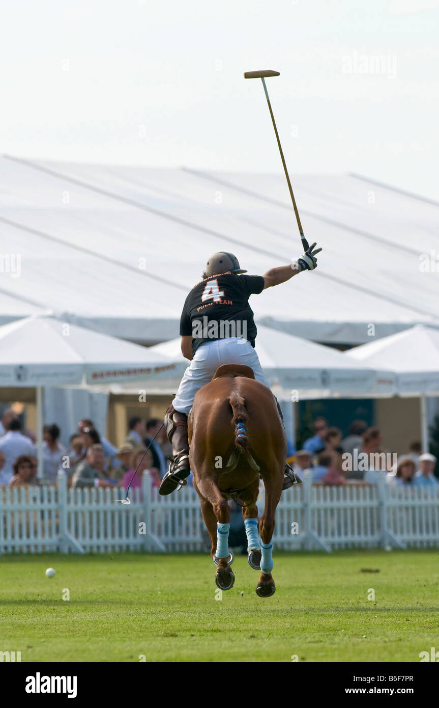 Giocatore di polo sul suo pony rincorrere la sfera durante l'Berenberg Alta meta Trophy 2008 torneo di polo di Thann, Holzkirchen, Bava Foto Stock