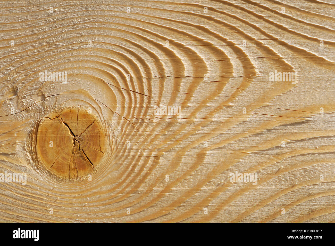 Tavolato in legno, dettaglio mostrante un nodo, il grano e i contrassegni di piano Foto Stock