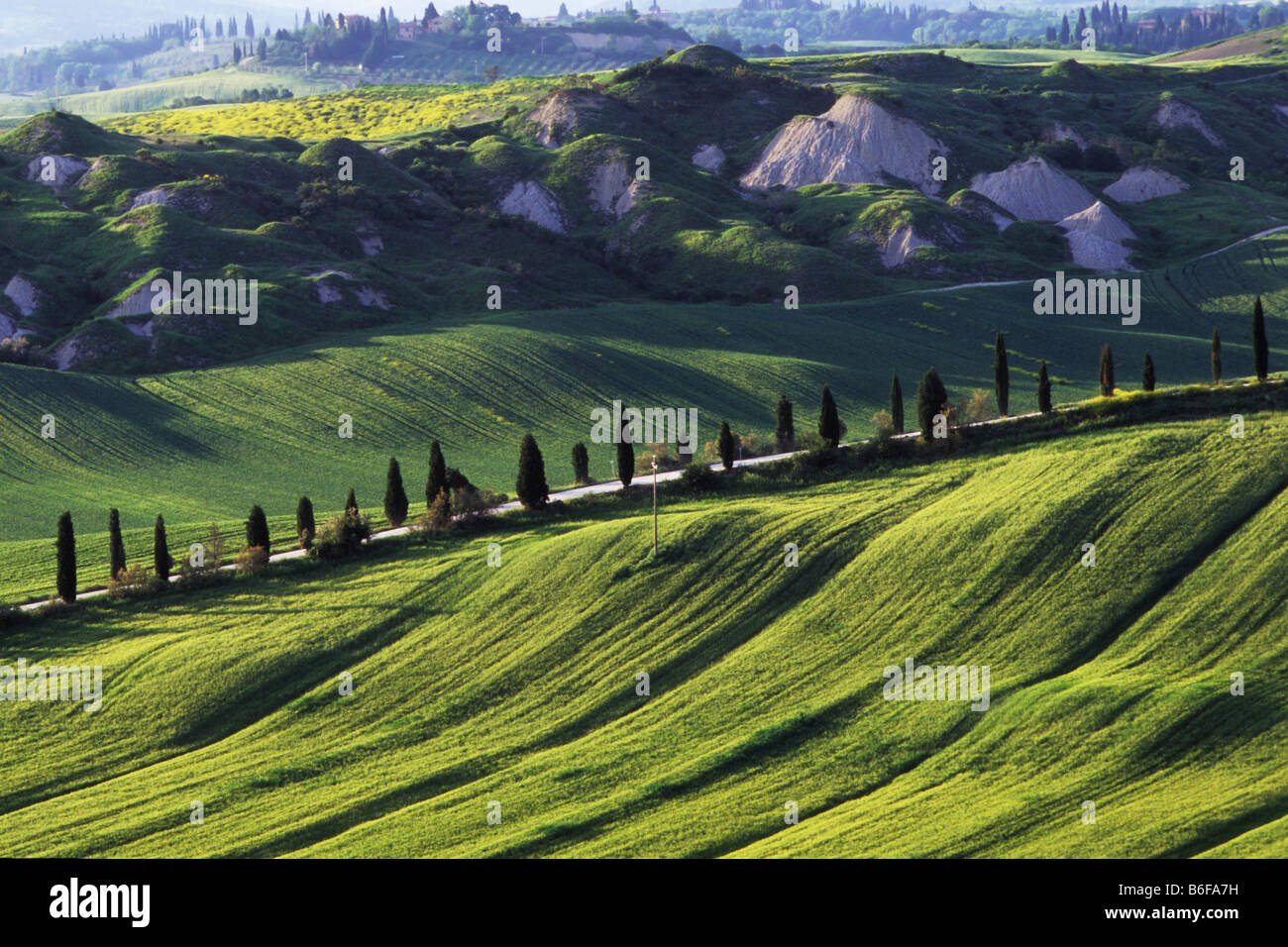 Paesaggio vicino Siena, Toscana, Italia, Europa Foto Stock