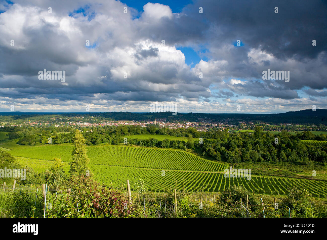 Vista di Dorking dal North Downs con [Denbies Wine Estate] in primo piano, Surrey, England Inglese 'vino' 'inglese vini' Foto Stock