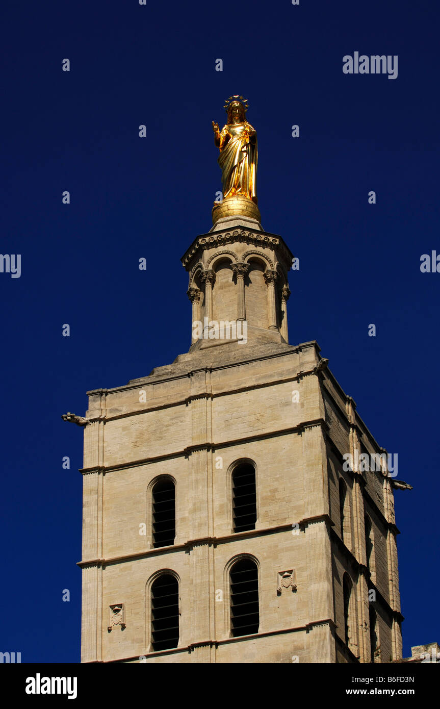 La cattedrale di Notre Dame des Doms, Avignone, Provence, Francia Foto Stock