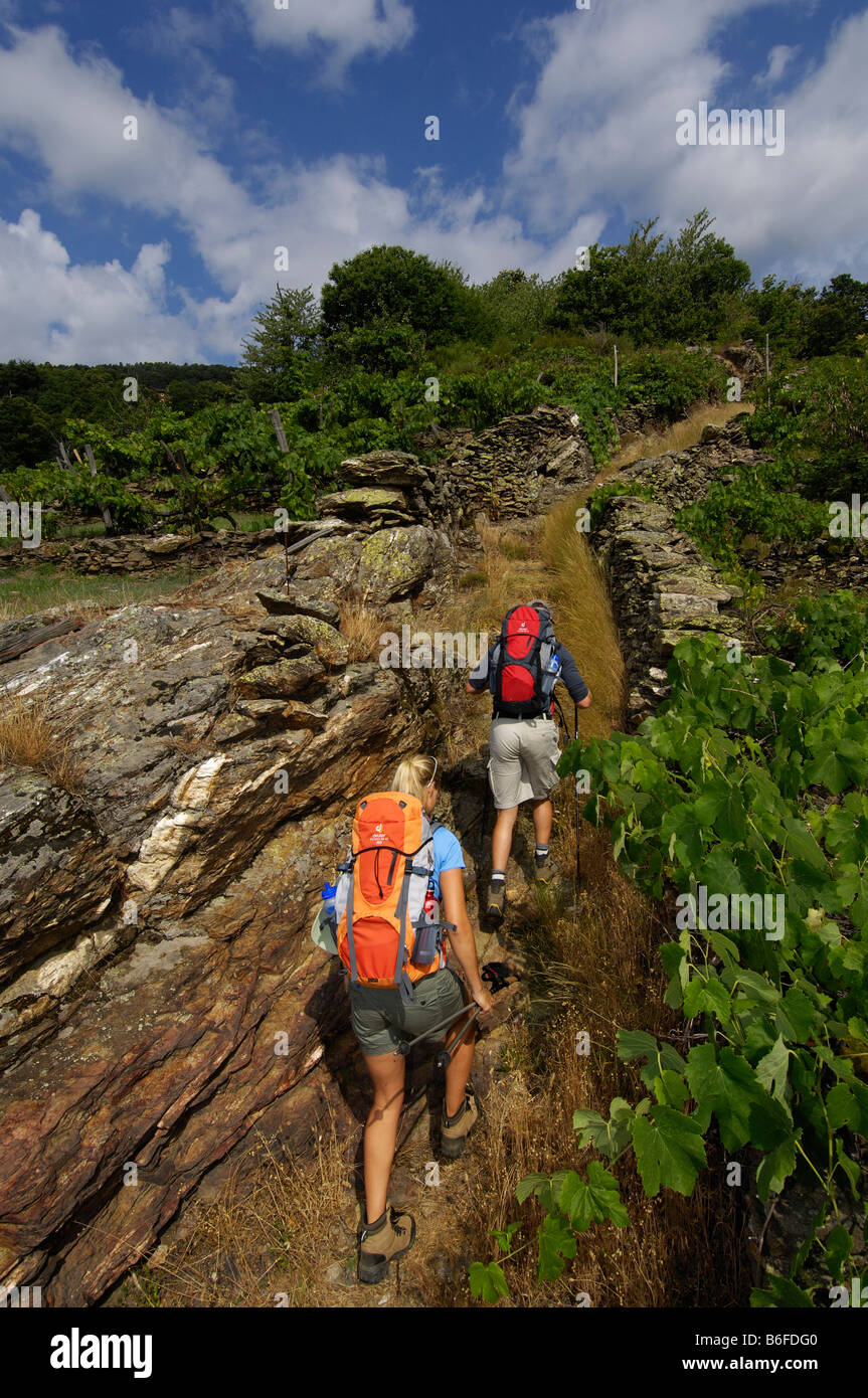 Gli escursionisti sul Sentier des Lauze, Saint Melany, Ardeche, Rodano Alpi, Francia, Europa Foto Stock