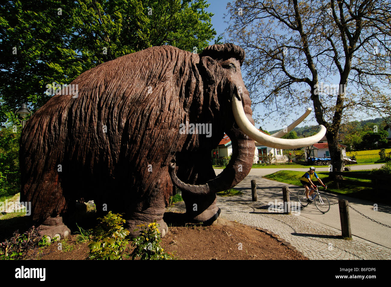 Mammut lanosi figura, dimensione di vita, affacciato racing ciclista di Siegsdorf, Chiemgau, Baviera, Germania, Europa Foto Stock