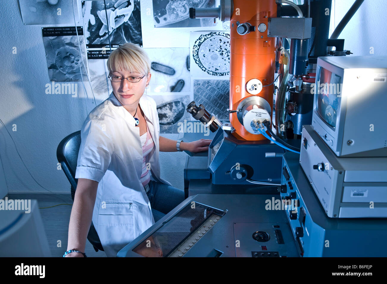 Tecnico di laboratorio lavorando su un microscopio elettronico, Max-Planck ricerca 'la fermentazione il ripiegamento di proteine", Halle, Germania, UE Foto Stock