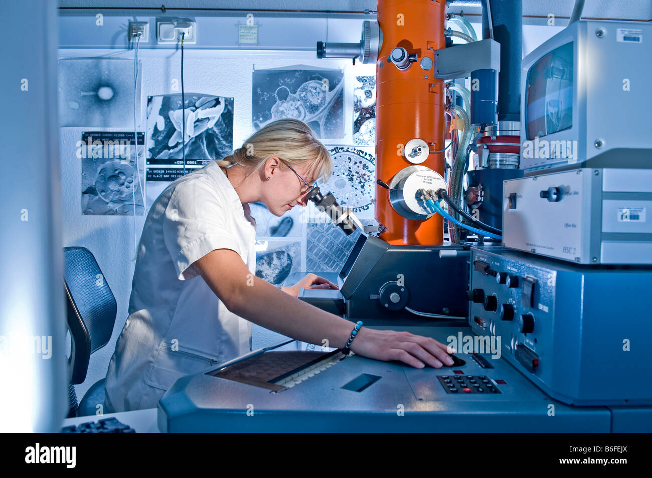 Tecnico di laboratorio lavora con un microscopio elettronico, ricerca Max-Plank 'la fermentazione il ripiegamento di proteine", Halle, Germania, e Foto Stock