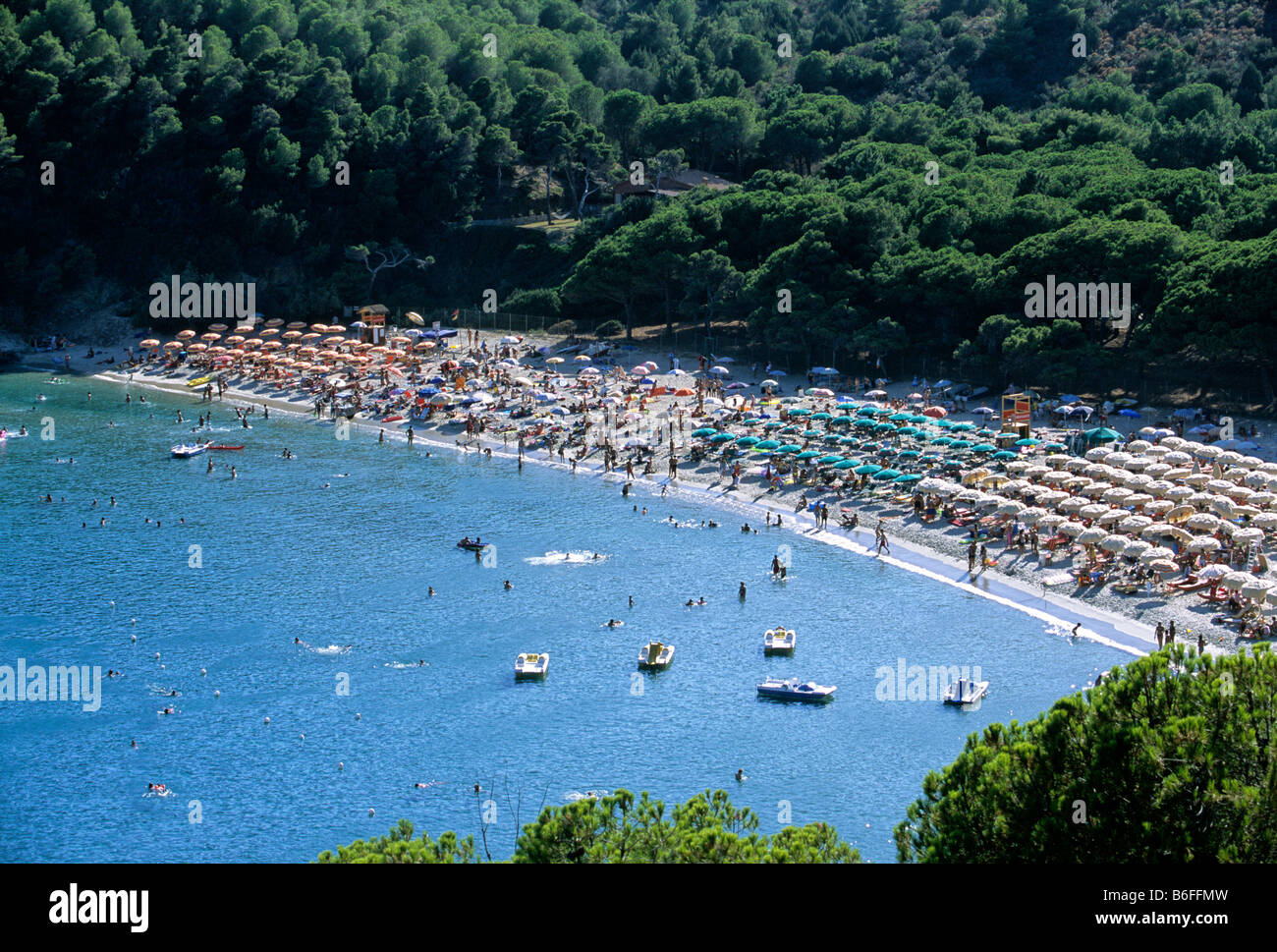 La pineta e la spiaggia di Fetovaia, Isola d'Elba, provincia di Livorno, Toscana, Italia, Europa Foto Stock