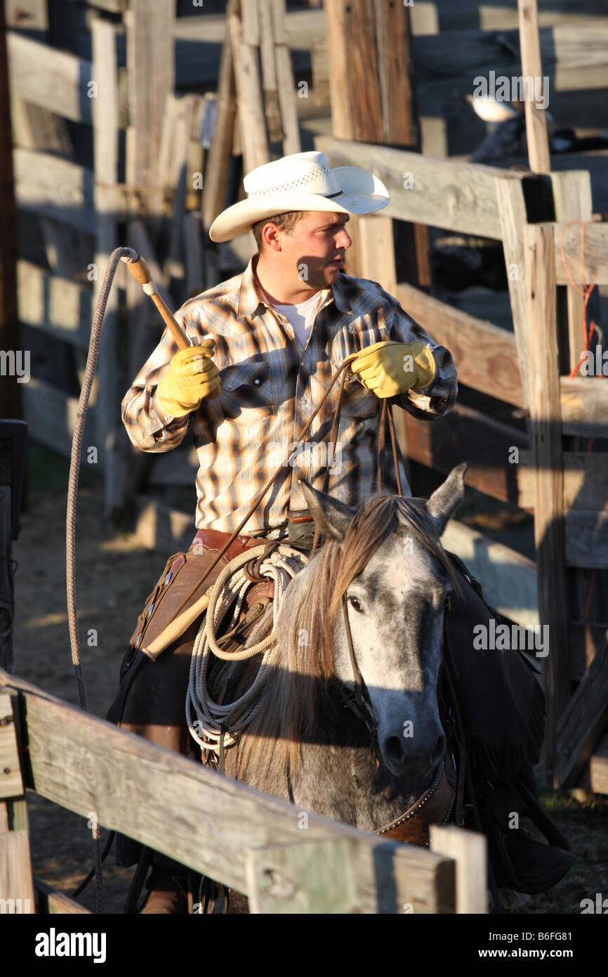 Un cowboy lavorando il bestiame stockyards in Fort Worth Texas con una frusta Foto Stock