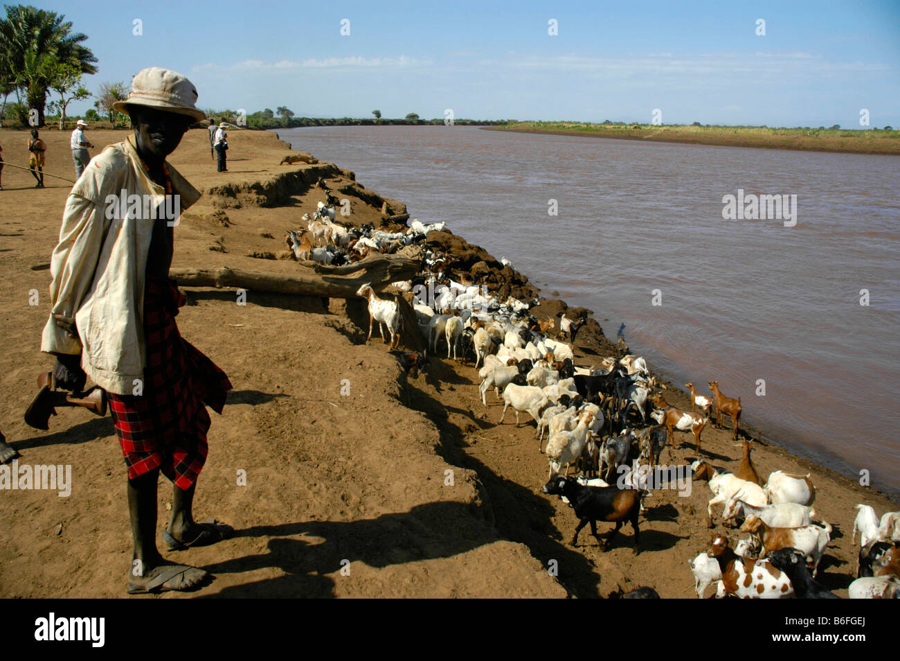Shepard con capre al fiume Omo, Dashenesh persone, Etiopia, Africa Foto Stock