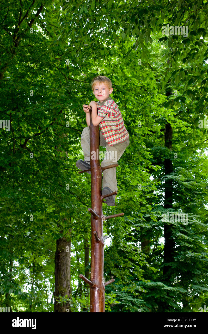 Un bambino di sei anni, salendo nel bosco su un fusto rampicante Foto Stock