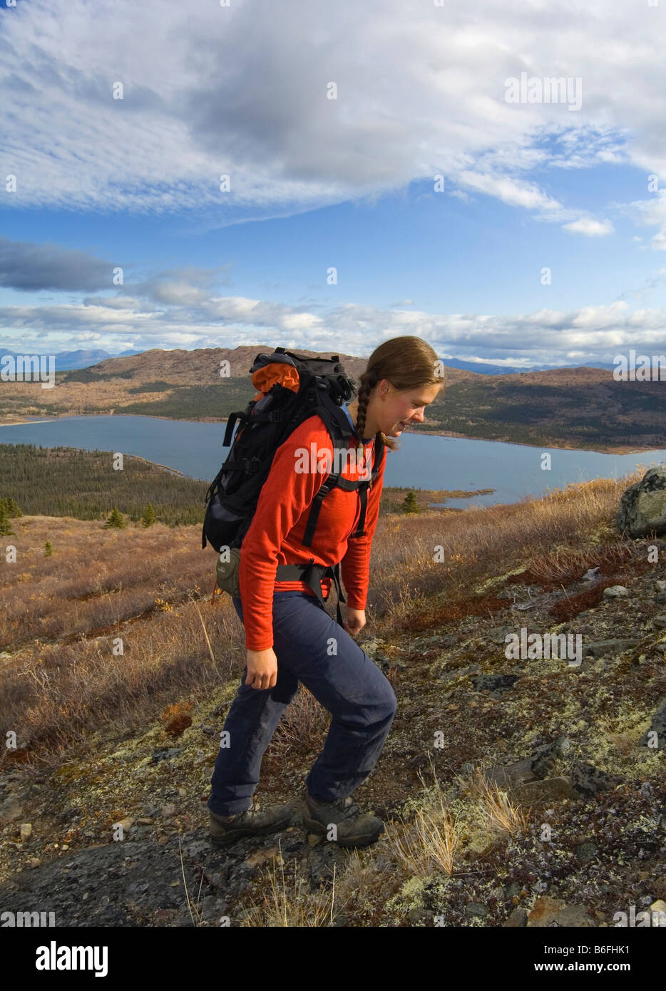 Giovane donna escursionismo, backpacking, tundra alpina, pesce di lago dietro i colori dell'autunno, Yukon Territory, Canada, America del Nord Foto Stock