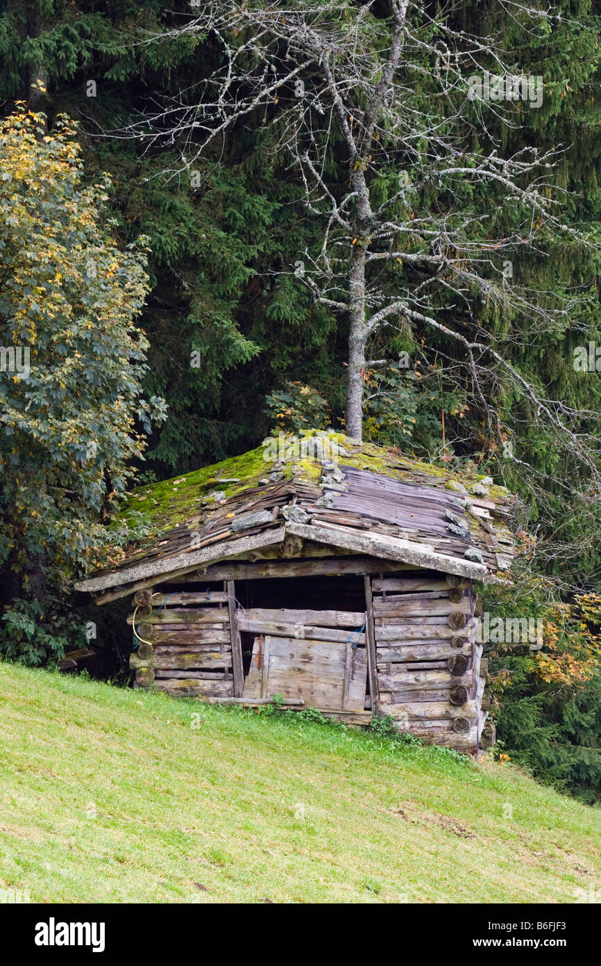 Rifugio di montagna su Alpbach, Valle Alpbach, Alpi, Tirolo, Austria, Europa Foto Stock