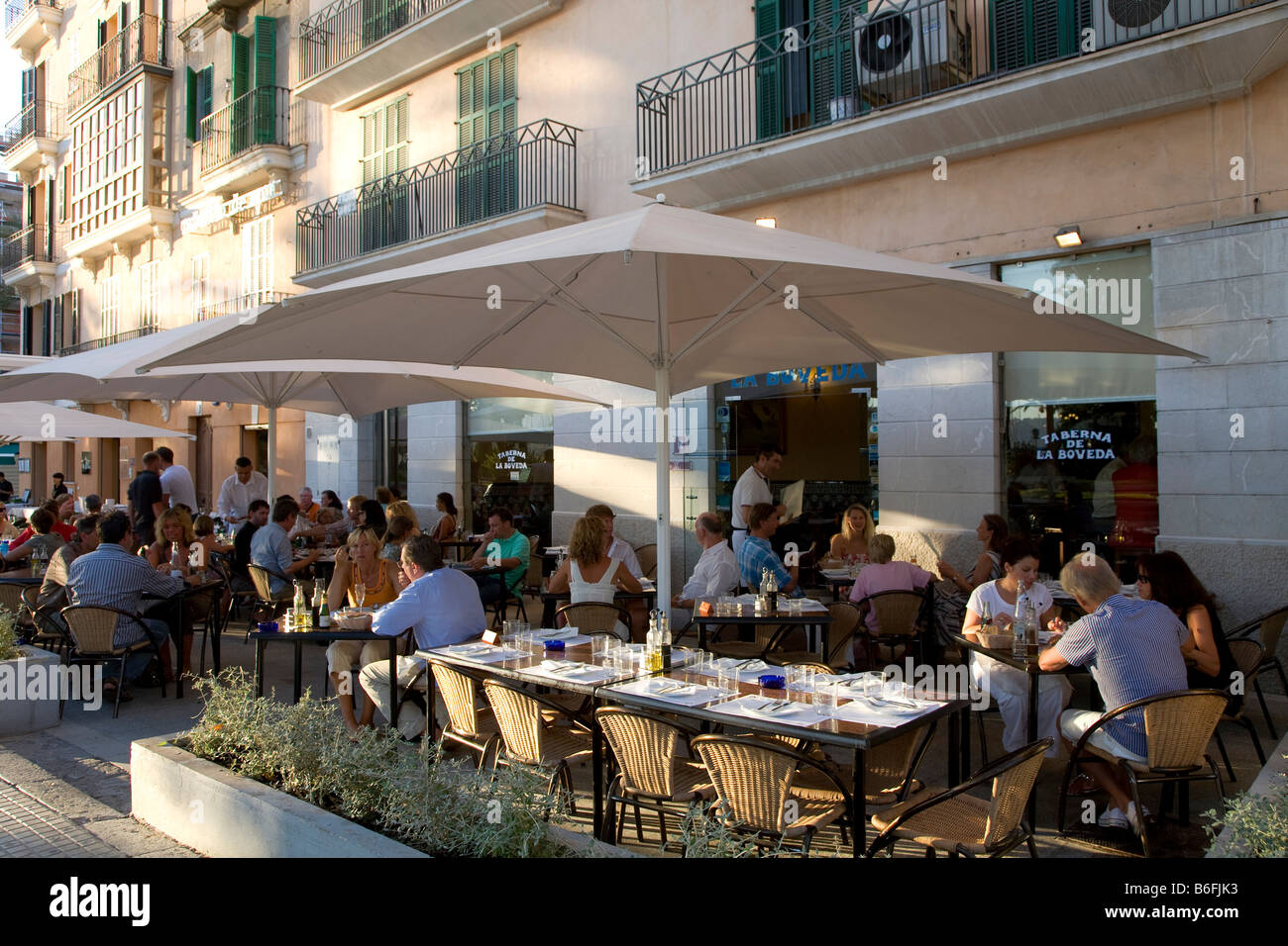 Taberna de la a Boveda, ristorante e bar, terrazza, Palma de Mallorca, Maiorca, isole Baleari, Spagna, Europa Foto Stock