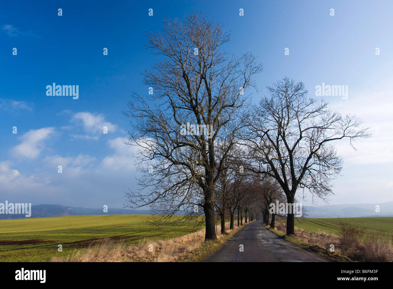 Inizio della primavera paesaggio vicino Rozmital, Nachod distretto, Boemia orientale, Repubblica Ceca, Europa Foto Stock