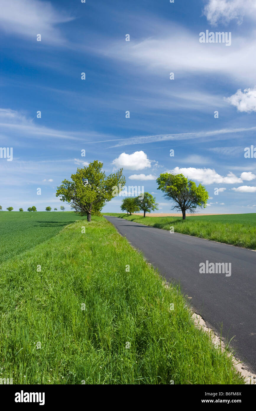 Paesaggio di primavera con road vicino Trstenice, distretto di Znojmo, Sud Moravia Repubblica Ceca, Europa Foto Stock