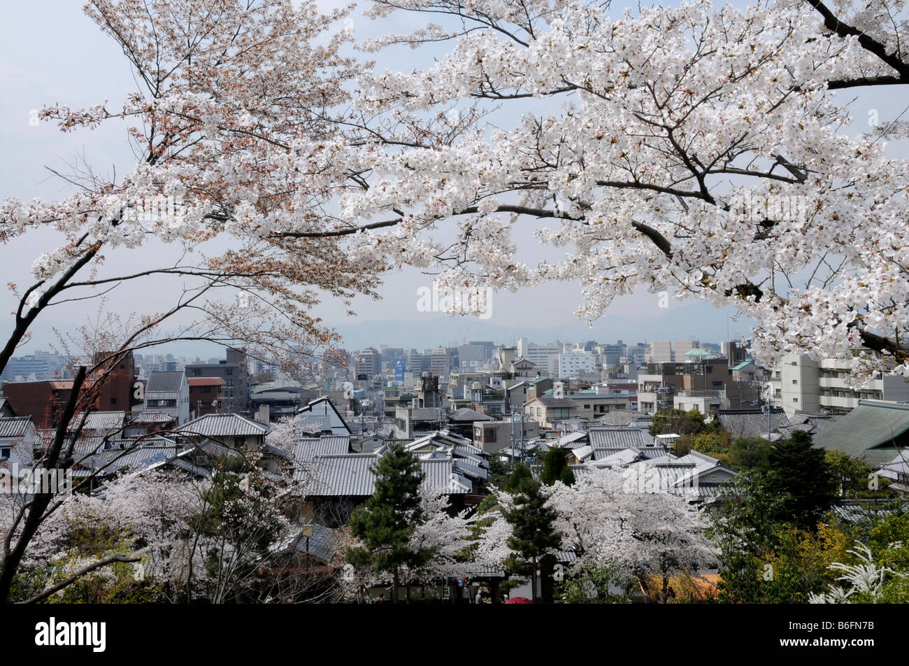 Vista attraverso la ciliegia blossomtoward la città di Kyoto, Giappone, Asia Foto Stock