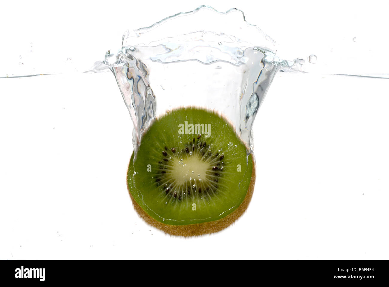 I kiwi di cadere in acqua Foto Stock