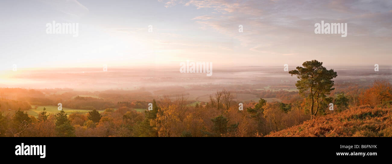 Di prima mattina [panoramica vista dal Leith Hill] [North Downs] [Surrey Hills] autunno Foto Stock