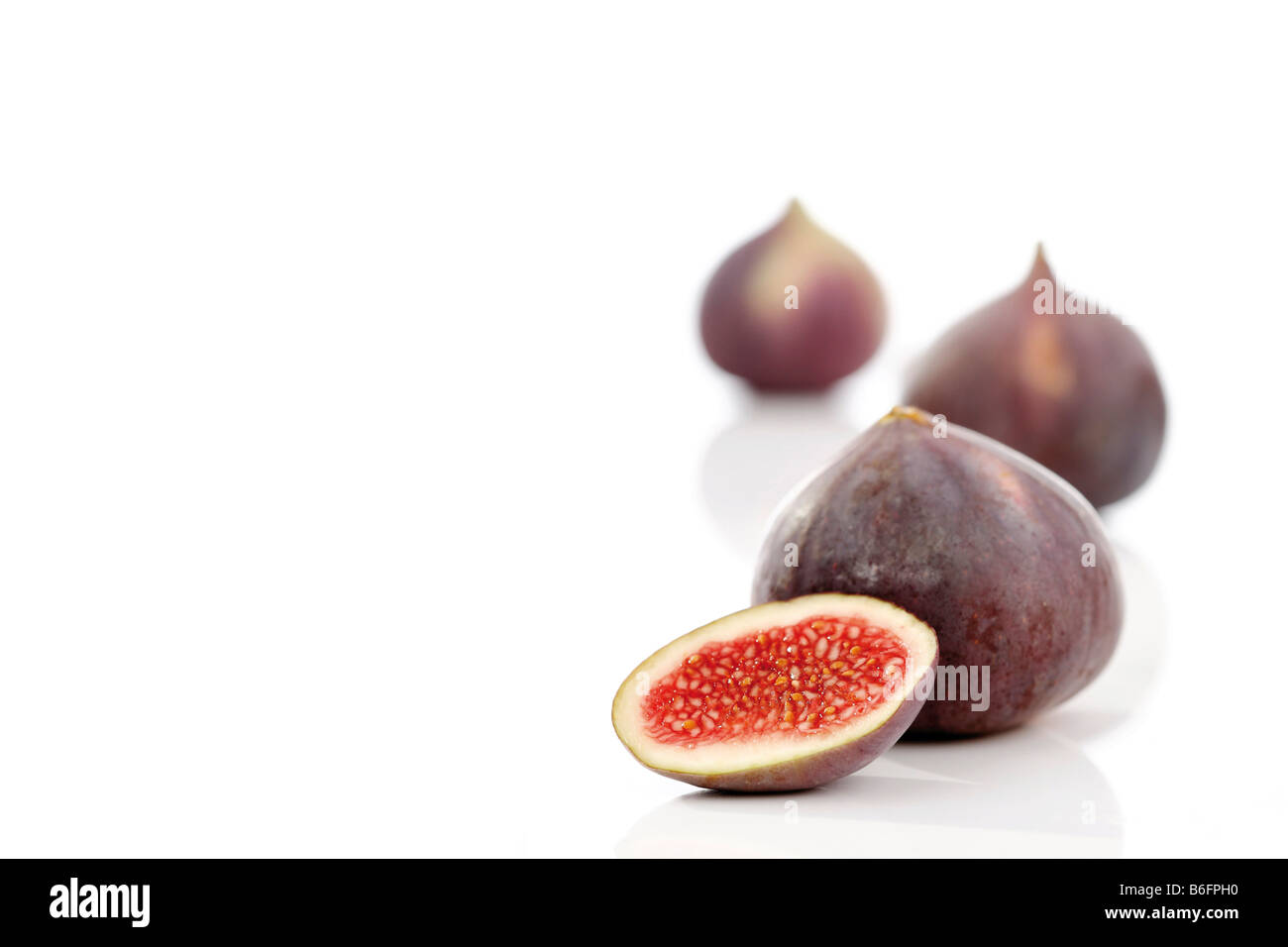 Comune fig (Ficus carica) Foto Stock